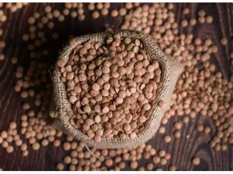 Lentejas oscura 500G