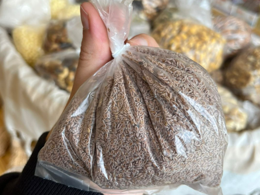 Semilla de psyllium 100g