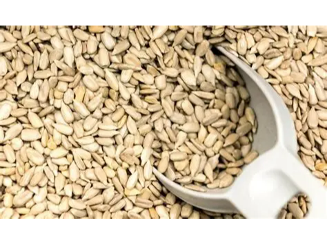 Semillas de girasol x 250g