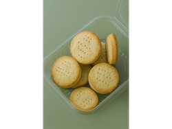 Kriollitos