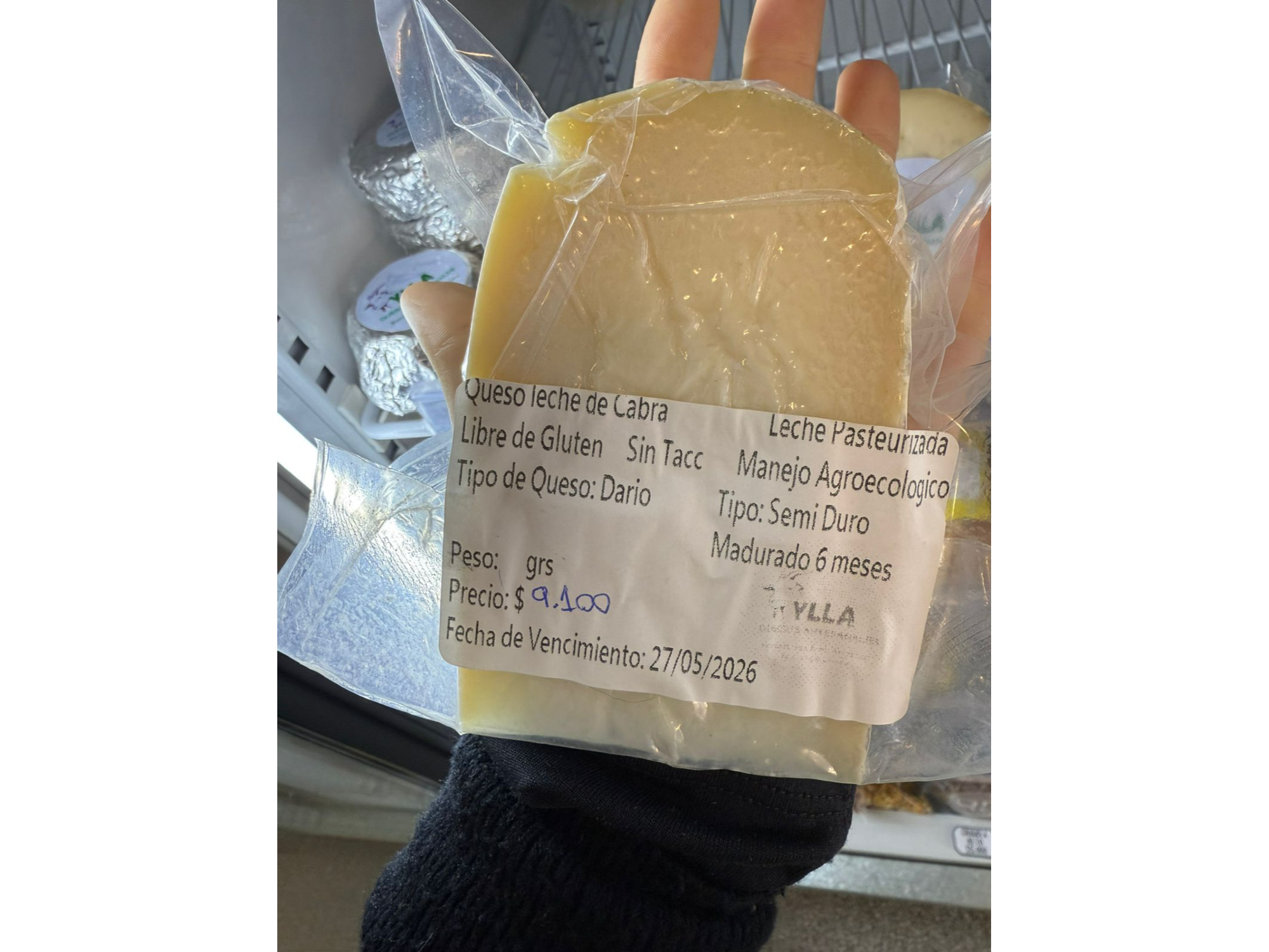Queso dario