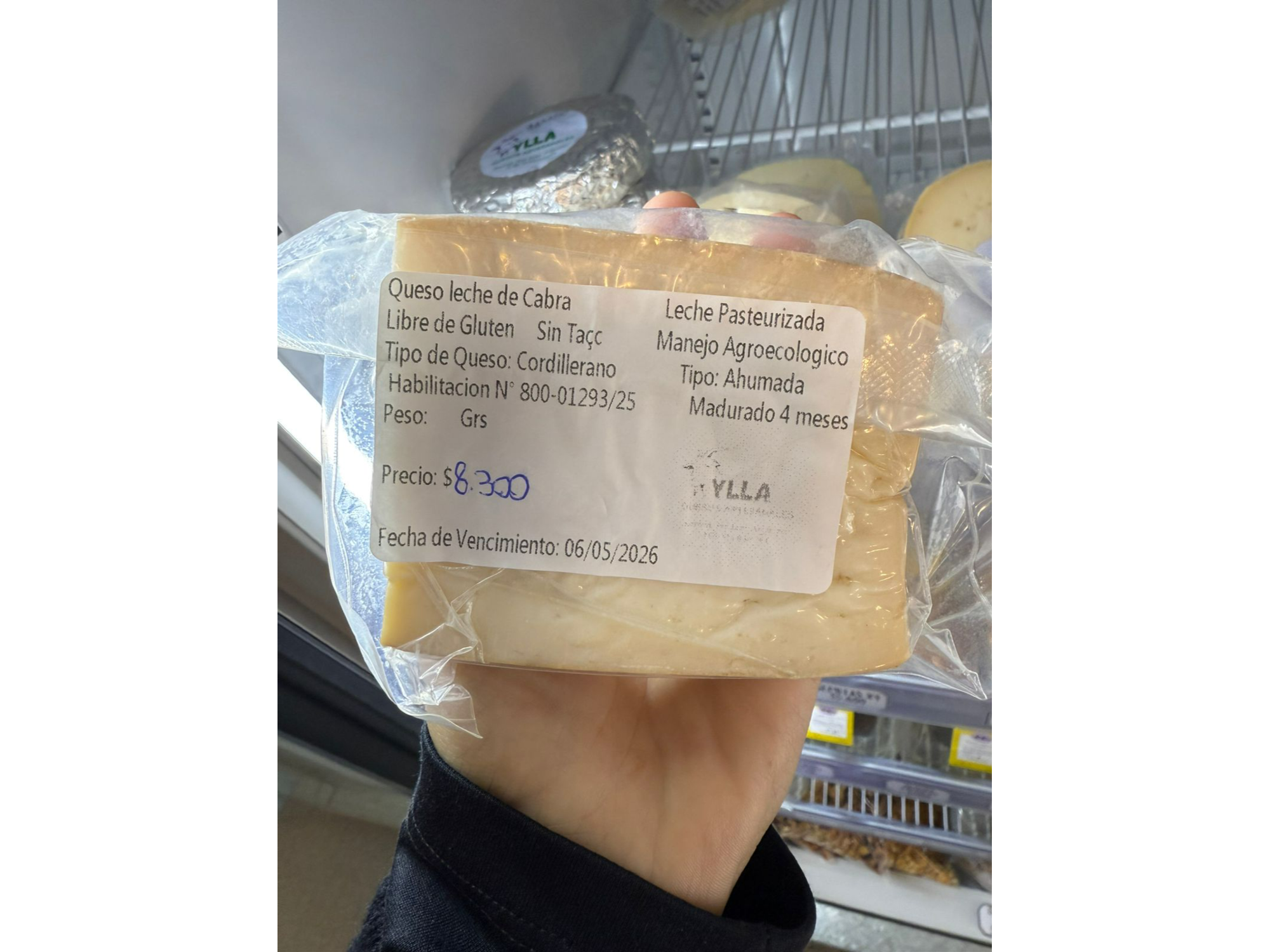 queso cordillerano