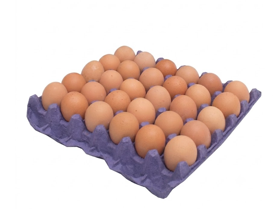 Maple de Huevos Pastoriles