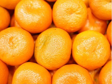 Mandarina Criolla