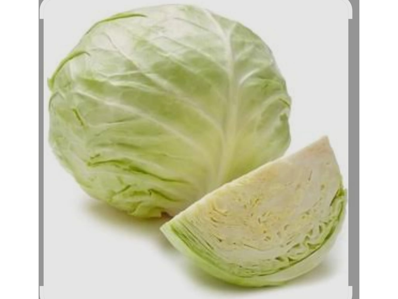 Repollo Blanco