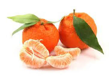 Mandarina Dancy