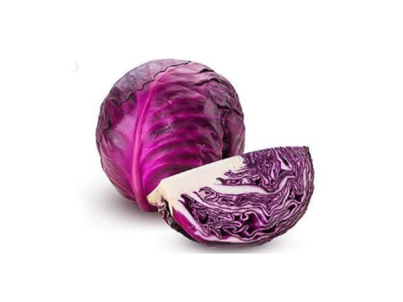 Repollo Morado