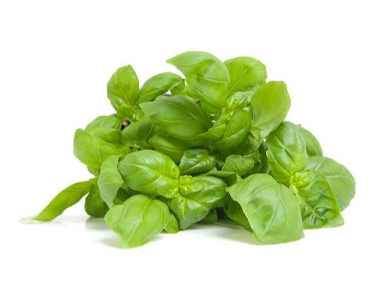 Albahaca