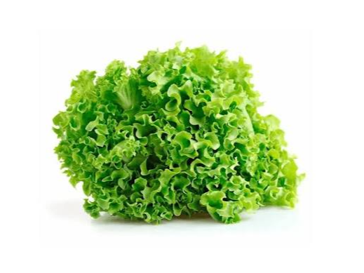 Lechuga de Hoja