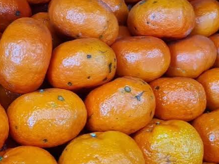 Mandarina Encore