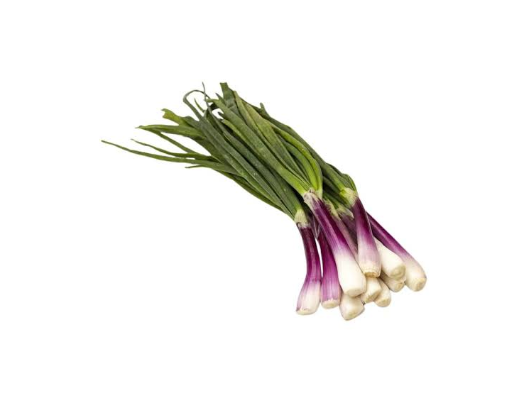 Cebolla de Verdeo