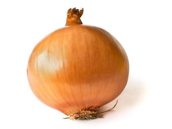 Cebolla Amarilla (común)