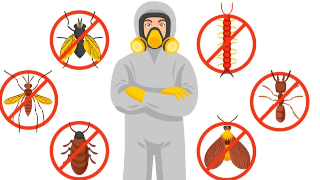 Insecticidas/ Venenos/ Espirales y más...