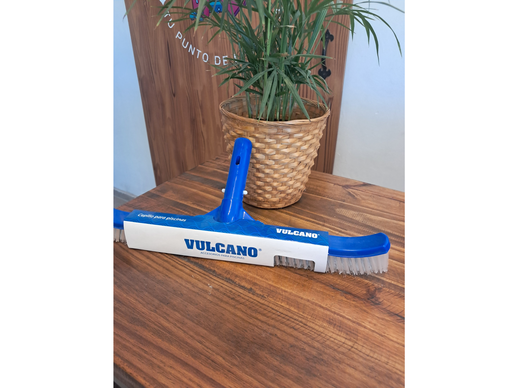 Cepillo para pileta grande