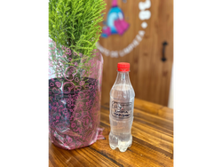 Limpiatapizados Multiuso