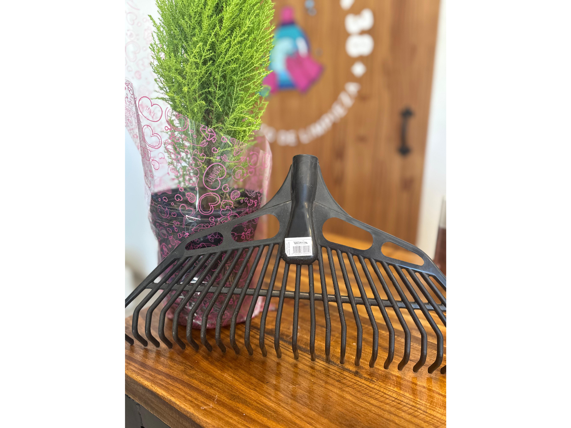 Barre hojas Hacendosa