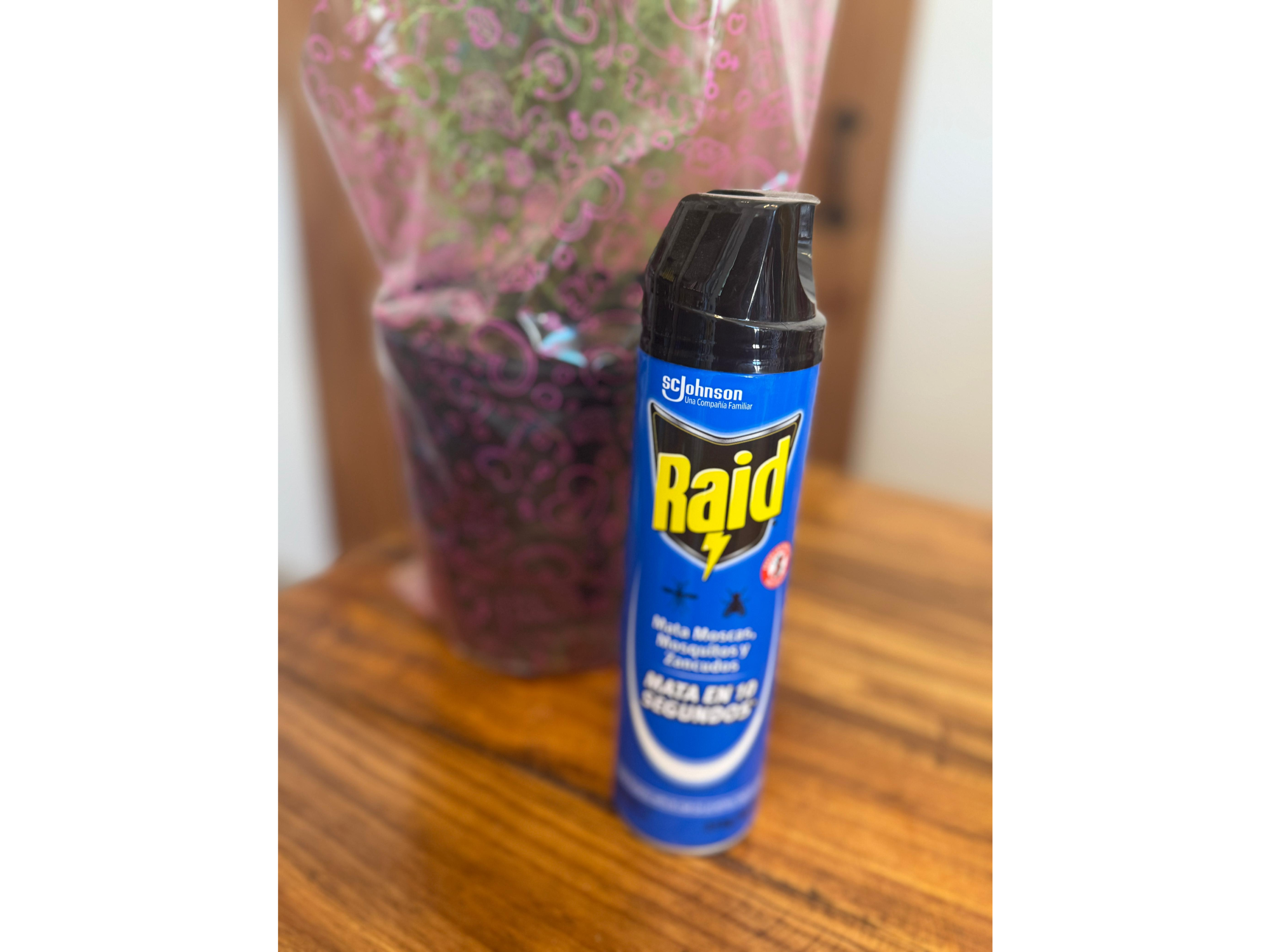 Raid aerosol 380 cc