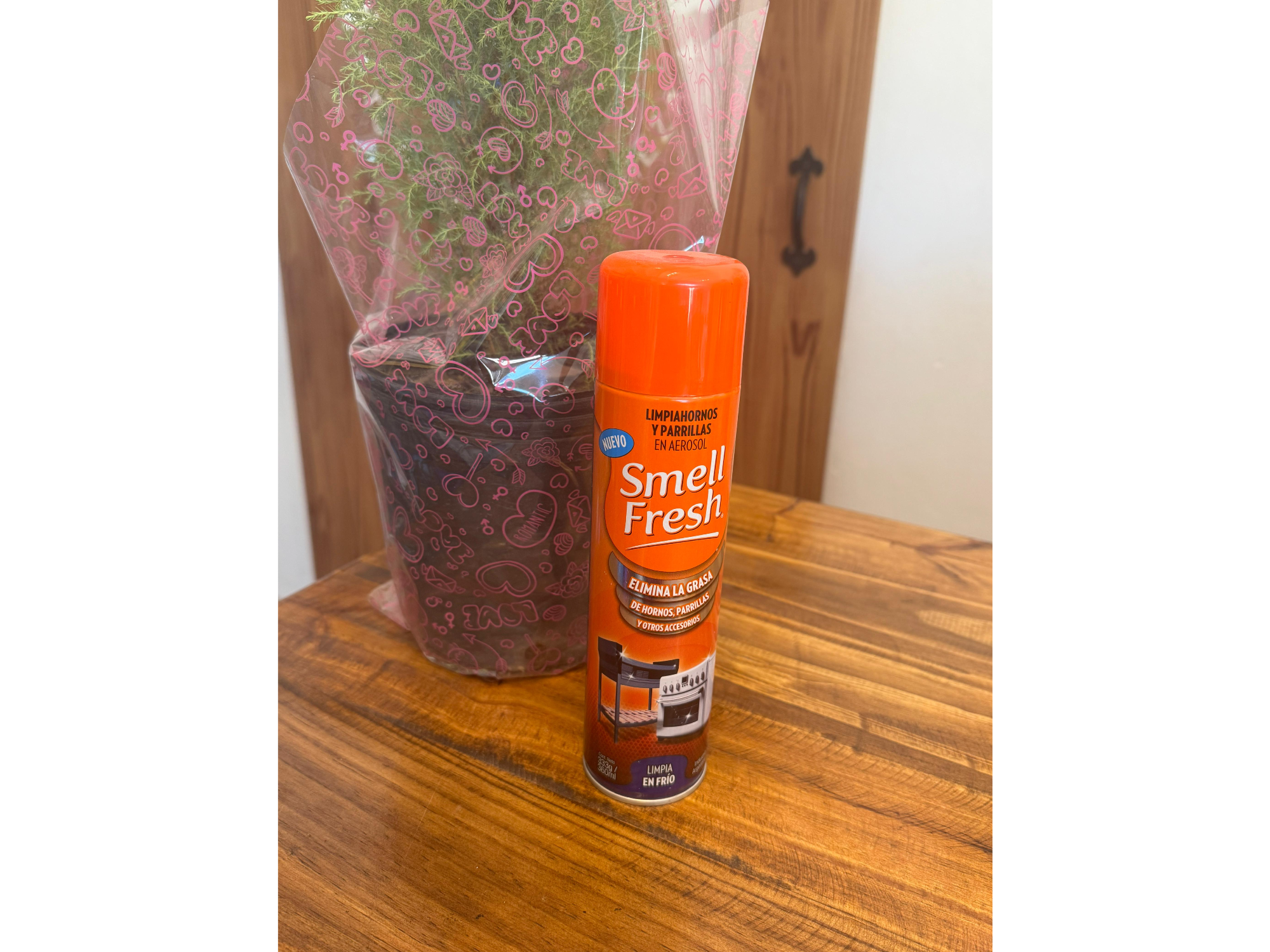 Smell Fresh limpiahorno