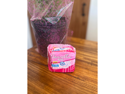 Doncella toallas femeninas x 8