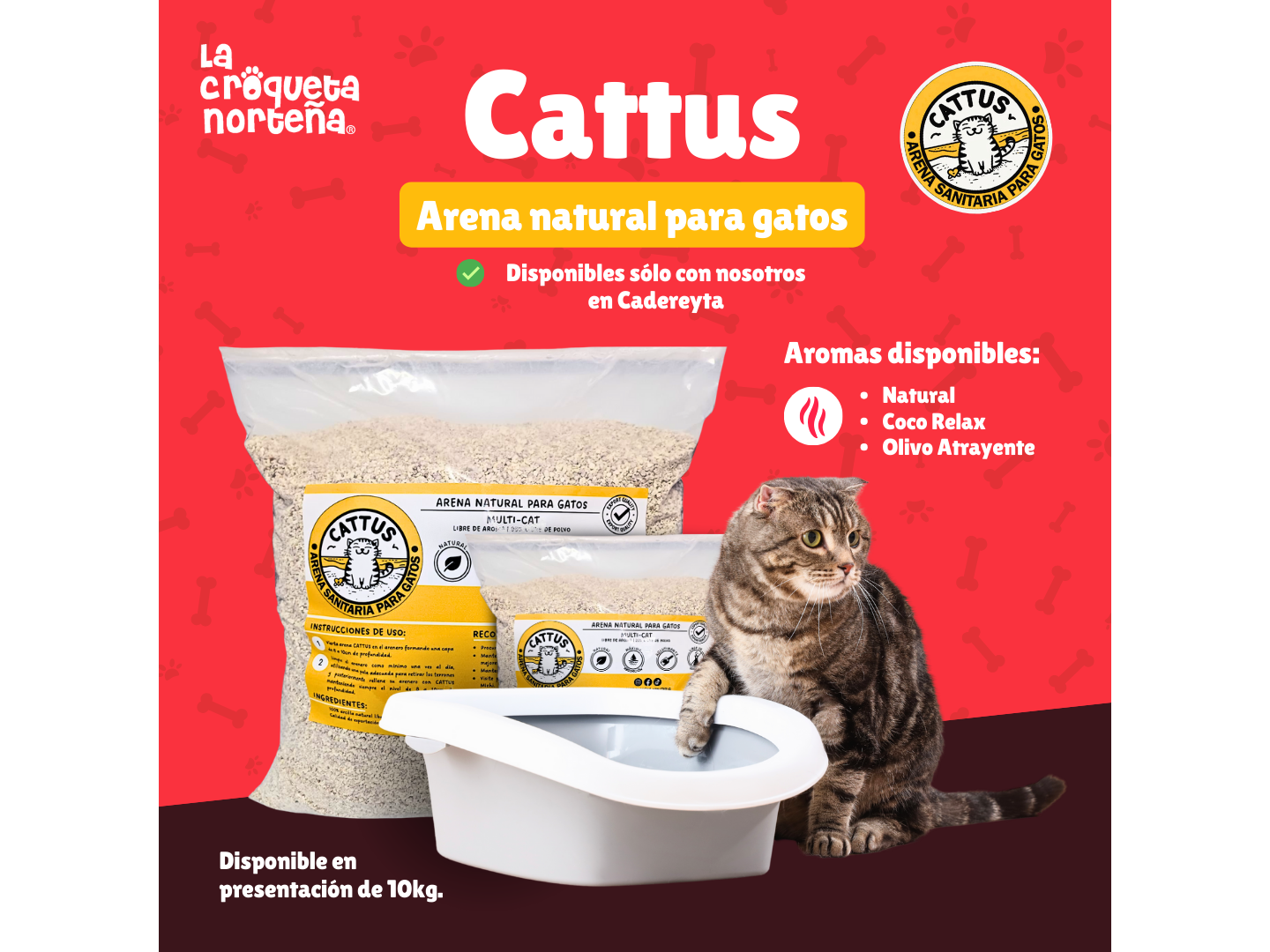 Cattus Arena Sanitaria