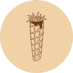 Logo Dulcería Negrita