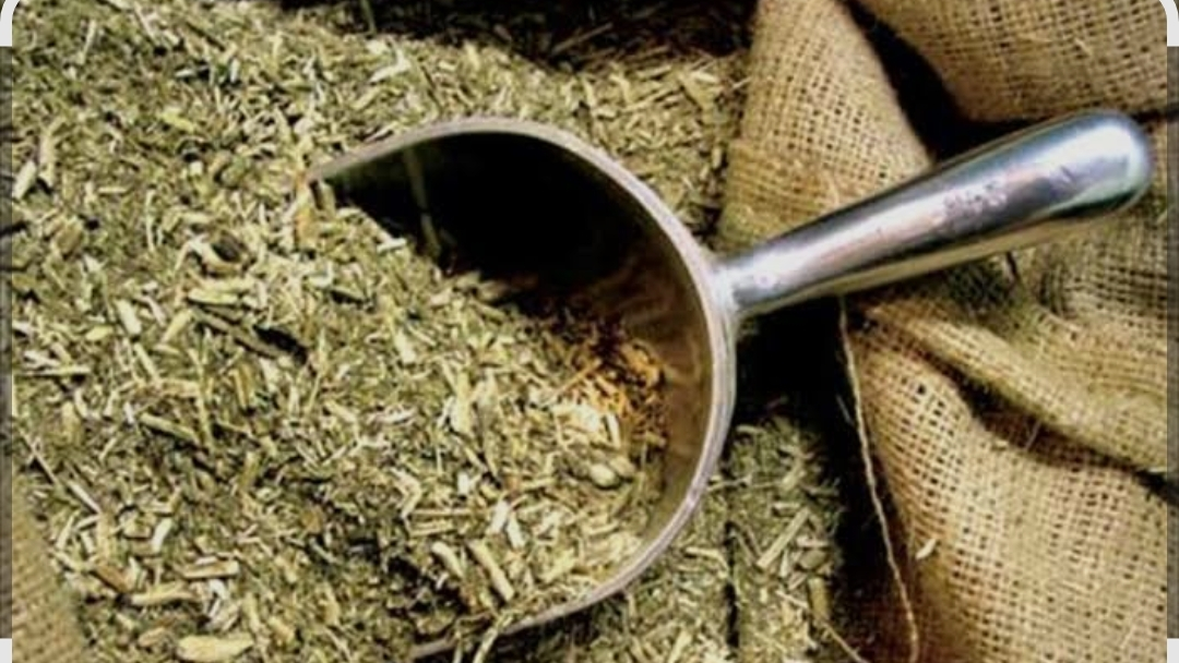 Yerbas e Infusiones