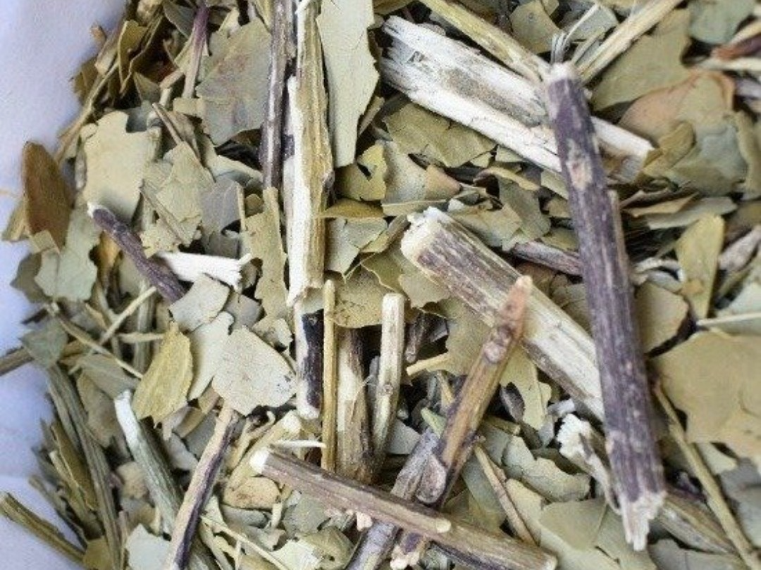 Yerba canchada Tucangua