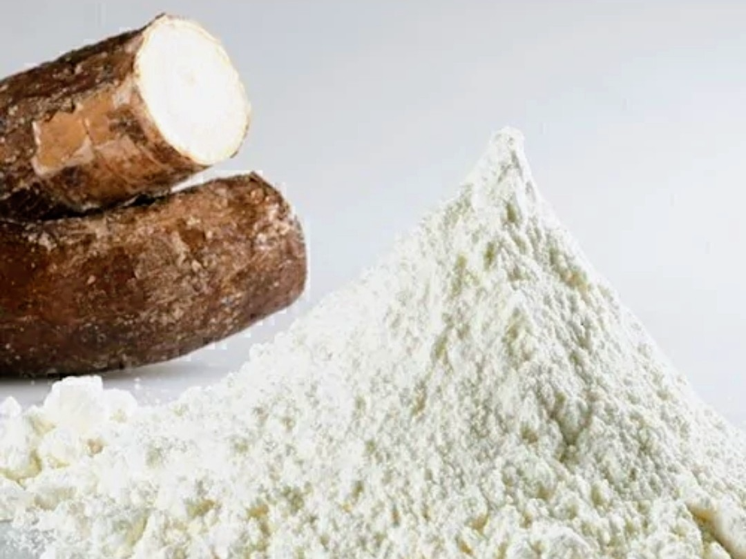 Fécula de mandioca de "Cuscús" - Almacén de ramos naturales