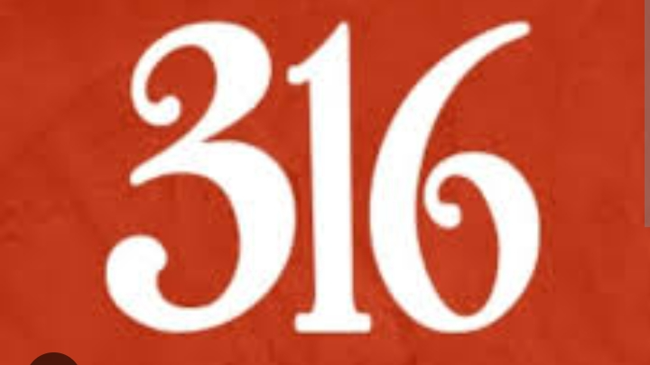 PRODUCTOS VEGANOS 316