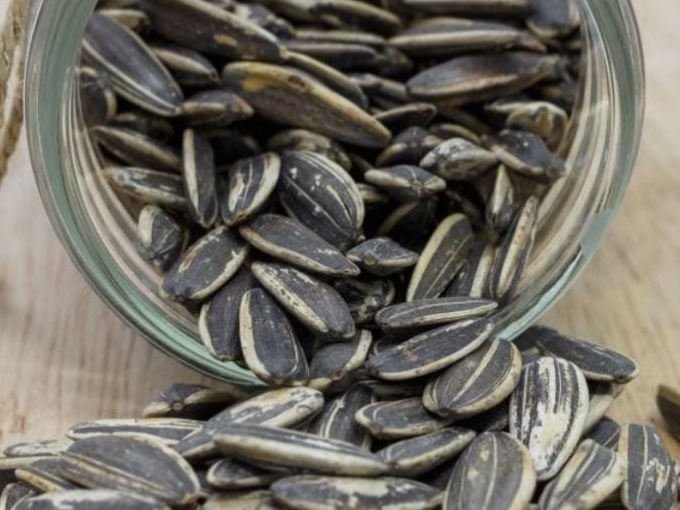 Girasol con cáscara