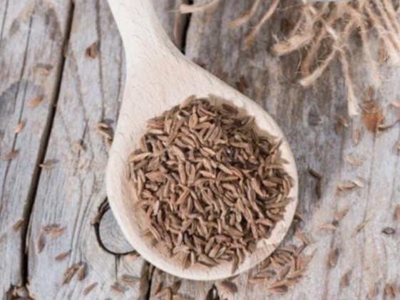 Comino en grano de Rincón Natural Dietética