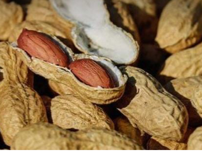 Mani con cáscara de Rincón Natural Dietética