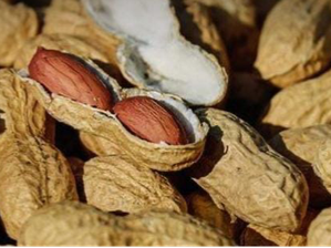Mani con cáscara de Rincón Natural Dietética