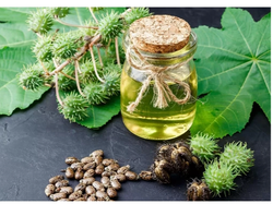 Aceite de ricino