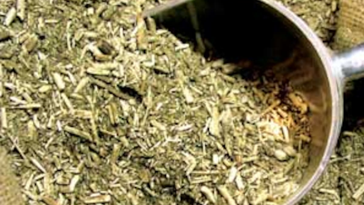 Yerba Mate