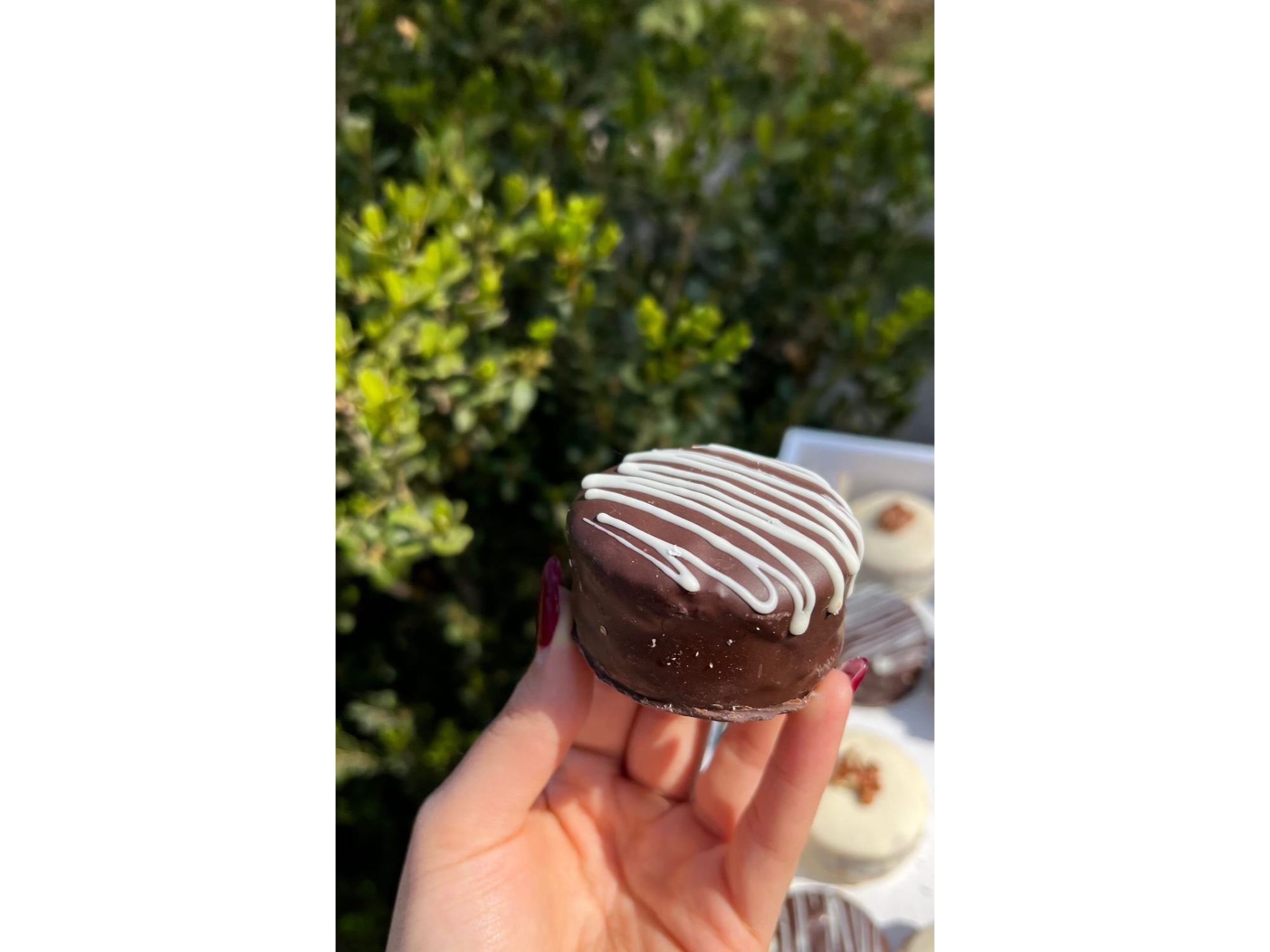 Alfajorcitos Bañados