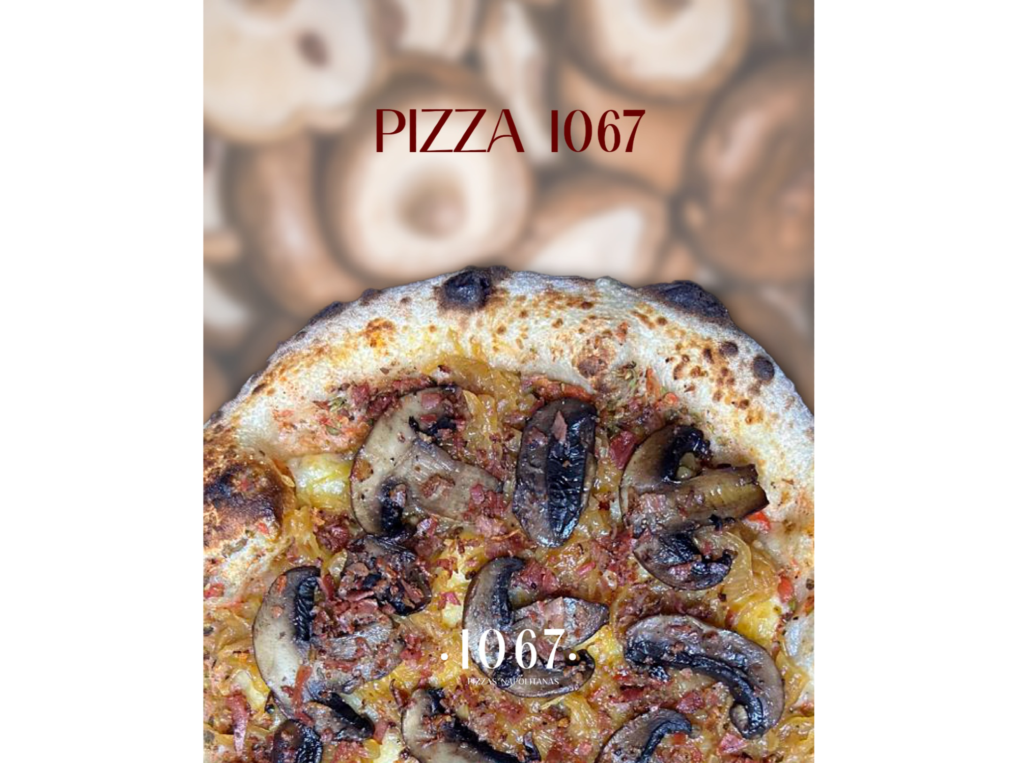 Pizza 1067 x 4 Porciones