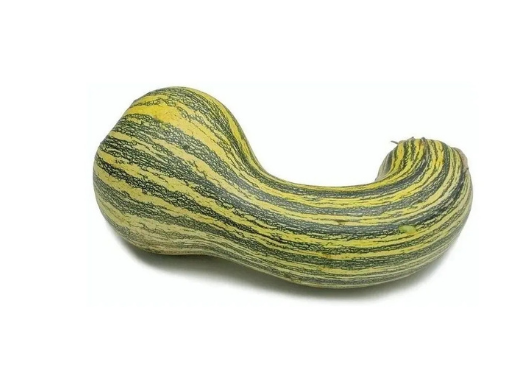 Calabaza rayada