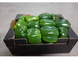 PIMIENTO VERDE