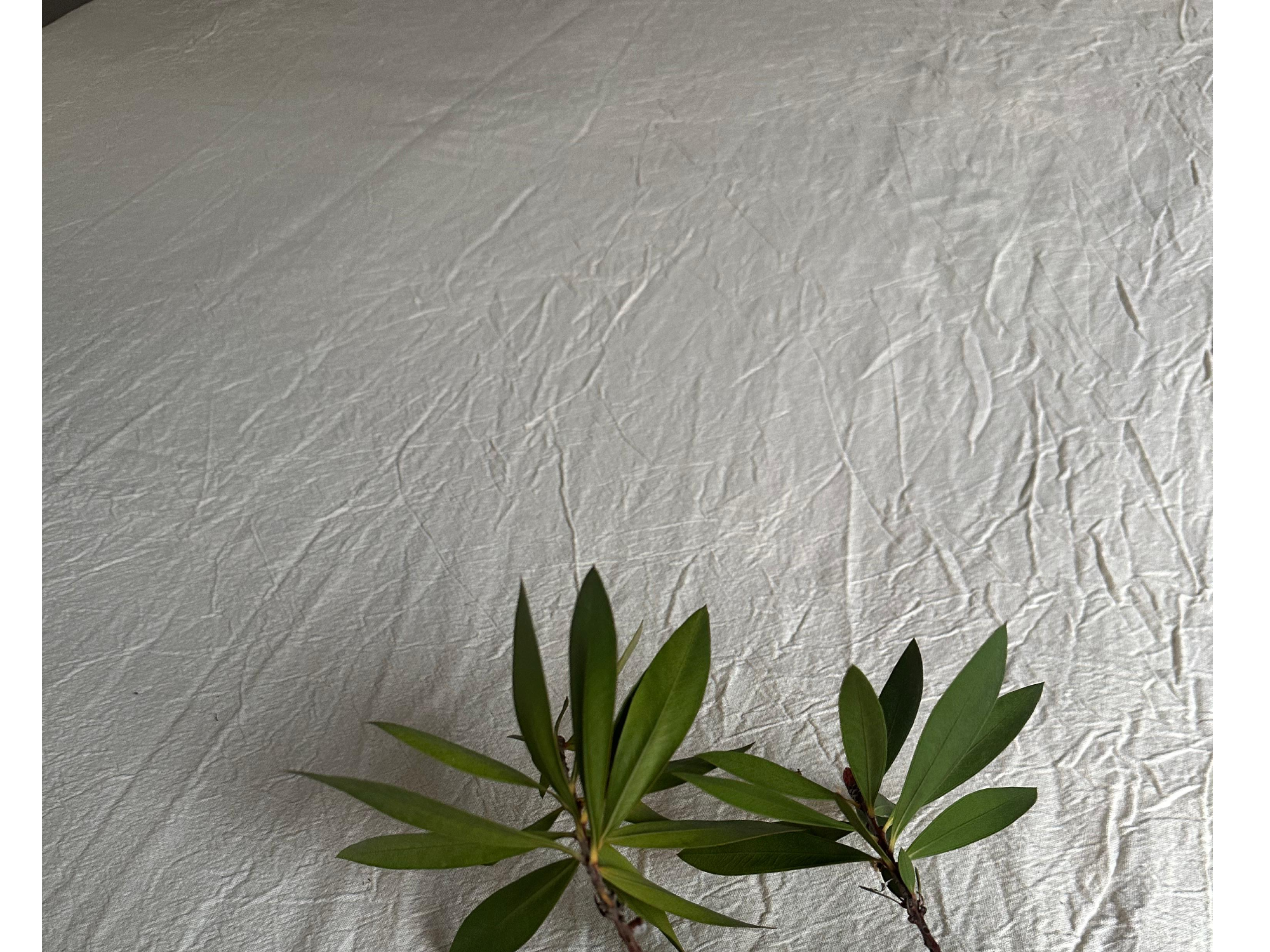 Mantel Lienzo Crudo