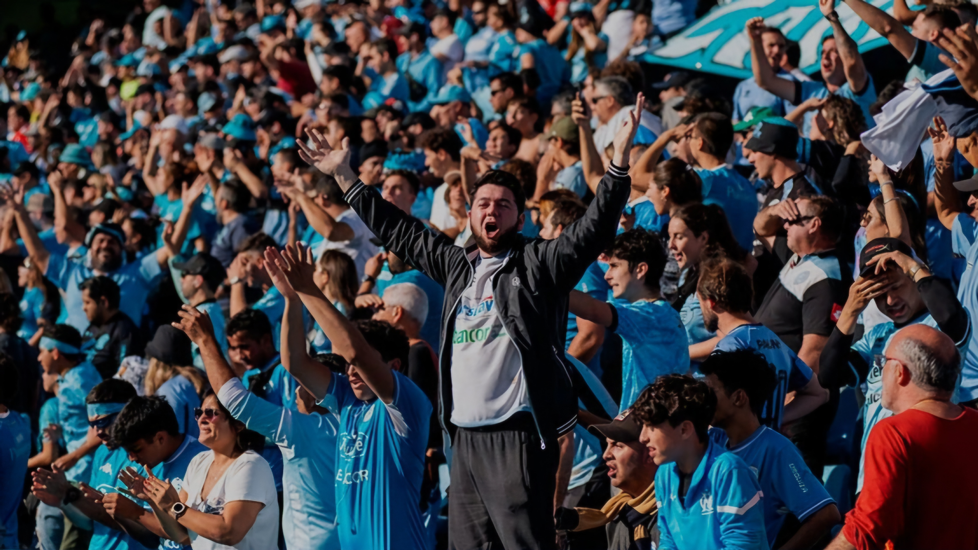 SECCIÓN PIRATA 🏴‍☠️