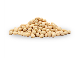 MANÍ CRUDO BLANCO X 25 KG