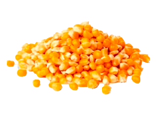 MAÍZ PISCINGALLO X 25 KG