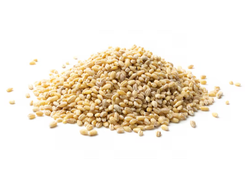 CEBADA PERLADA X 30 KG