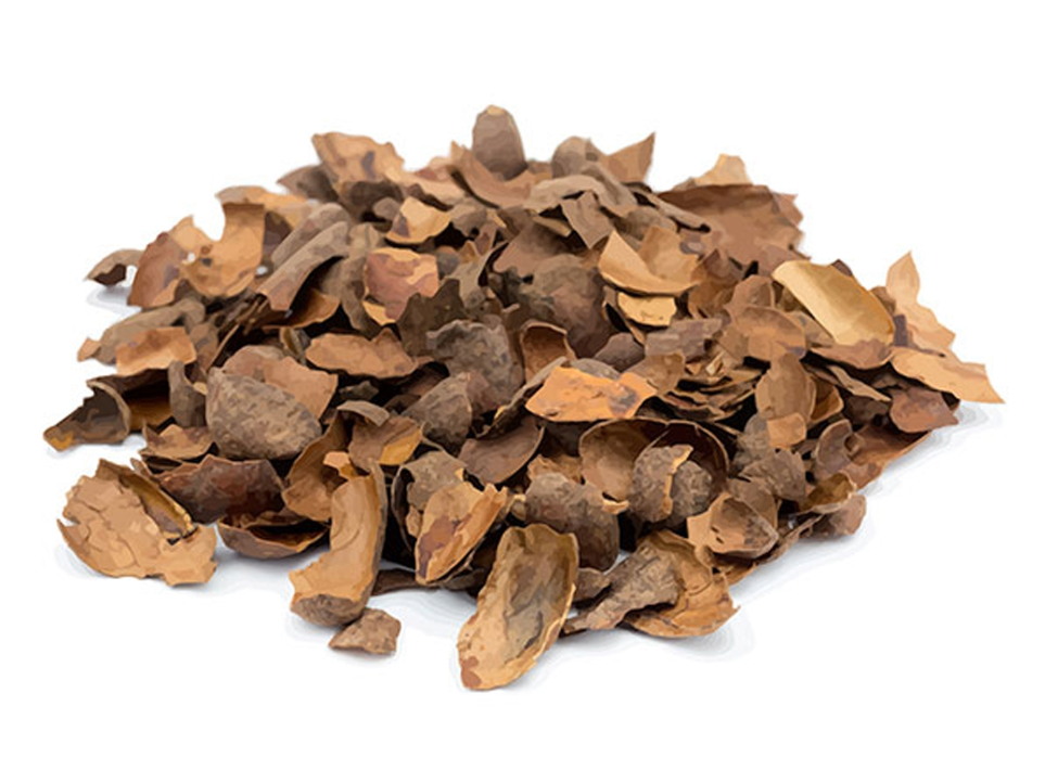 CASCARILLA DE CACAO X 20 KG
