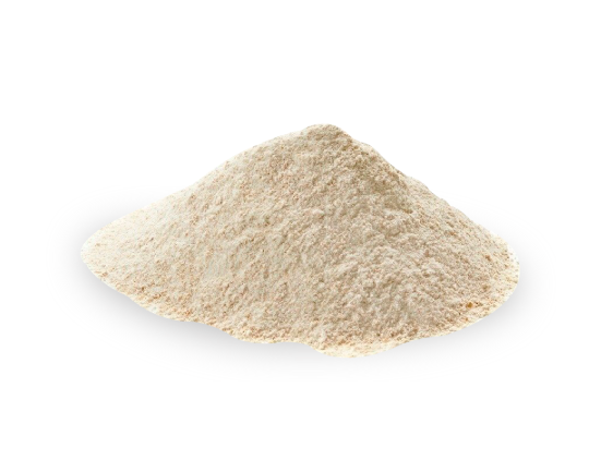 HARINA DE TRIGO SARRACENO X 10 KG