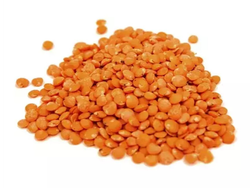 LENTEJA ROJA TURCA X 25 KG