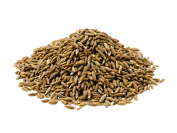 COMINO EN GRANO X 1 KG
