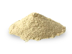 GLUTEN DE TRIGO X 25 KG
