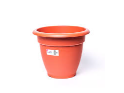 Florida Maceta Etrusca N31